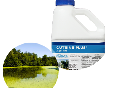 Applied Biochemists Cutrine® Plus Algaecide and Herbicide Hot on Sale