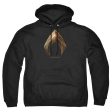 JUSTICE LEAGUE OF AMERICA : MOVIE : AQUAMAN LOGO ADULT PULL OVER HOODIE Black MD Fashion